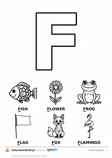 Angielski alfabet, litera F do kolorowania i sześć obrazków: fish, flower, frog, flag, fox, flamingo — karta do druku