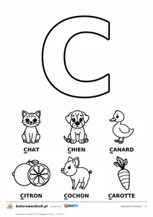 Alfabet francuski, litera C do kolorowania i sześć obrazków: chat, chien, canard, citron, cochon, carotte — karta do druku