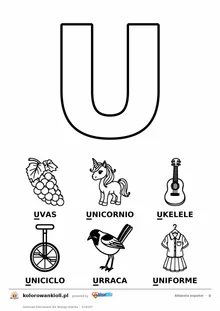 Alfabet hiszpański, litera U do kolorowania i sześć obrazków: uvas, unicornio, ukelele, uniciclo, urraca, uniforme — karta do druku