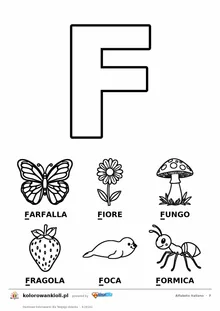 Alfabet włoski, litera F do kolorowania i sześć obrazków: farfalla, fiore, fungo, fragola, foca, formica — karta do druku