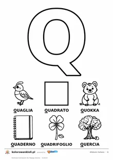 Alfabet włoski, litera Q do kolorowania i sześć obrazków: quaglia, quadrato, quokka, quaderno, quadrifoglio, quercia — karta do druku