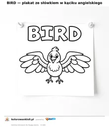 BIRD — plakat ze słówkiem w kąciku angielskiego — kolorowanka do wydruku dla dzieci