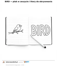 BIRD — ptak w zeszycie i litery do obrysowania — kolorowanka do wydruku dla dzieci