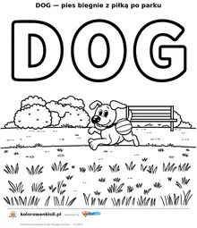 DOG — pies biegnie z piłką po parku — kolorowanka do wydruku dla dzieci