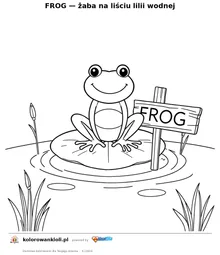 FROG — żaba na liściu lilii wodnej — kolorowanka do wydruku dla dzieci