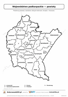 Mapa konturowa województwa podkarpackiego z powiatami do pokolorowania — karta pracy A4, klasy 4–6