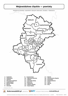 Mapa konturowa województwa śląskiego z powiatami do pokolorowania — karta pracy A4, klasy 4–6