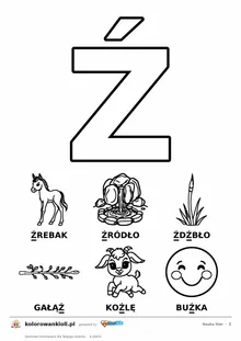 Litera Ź do kolorowania i sześć obrazków: źrebak, źródło, źdźbło, gałąź, koźlę i buźka — karta do nauki liter do druku