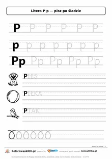 Litera P p po śladzie — karta do druku: kropkowane litery w liniaturze, wyrazy PIES, PIŁKA, PTAK z obrazkami