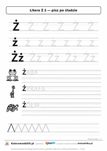 Litera Ż ż po śladzie — karta do druku: kropkowane litery w liniaturze, wyrazy ŻABA, ŻYRAFA, ŻÓŁW z obrazkami
