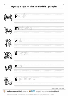 Wyrazy po śladzie małymi literami o łące: pająk, mrówka, żuk — karta do druku z obrazkami