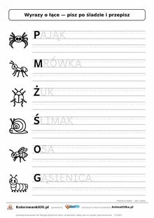 Wyrazy po śladzie wielkimi literami o łące: PAJĄK, MRÓWKA, ŻUK — karta do druku z obrazkami