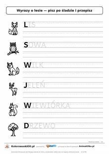 Wyrazy po śladzie wielkimi literami o lesie: LIS, SOWA, WILK — karta do druku z obrazkami