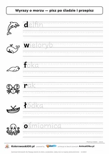 Wyrazy po śladzie małymi literami o morzu: delfin, wieloryb, foka — karta do druku z obrazkami