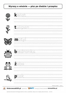Wyrazy po śladzie małymi literami o wiośnie: kwiat, tulipan, motyl — karta do druku z obrazkami