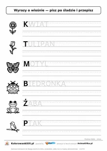 Wyrazy po śladzie wielkimi literami o wiośnie: KWIAT, TULIPAN, MOTYL — karta do druku z obrazkami