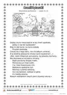 Broniś i ptaszki (Stanisław Jachowicz) — tekst wiersza i ilustracja do kolorowania (część 2 z 2), karta A4 do druku