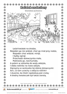 Kwiatek znaleziony (Stanisław Jachowicz) — tekst wiersza i ilustracja do kolorowania, karta A4 do druku