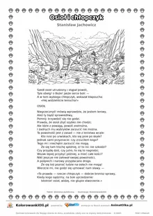 Osioł i chłopczyk (Stanisław Jachowicz) — tekst wiersza i ilustracja do kolorowania, karta A4 do druku