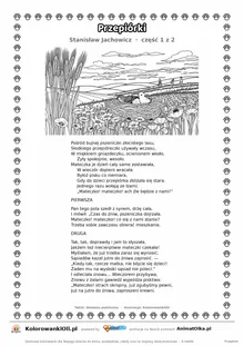Przepiórki (Stanisław Jachowicz) — tekst wiersza i ilustracja do kolorowania (część 1 z 2), karta A4 do druku