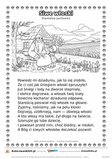 Siwe włoski (Stanisław Jachowicz) — tekst wiersza i ilustracja do kolorowania, karta A4 do druku
