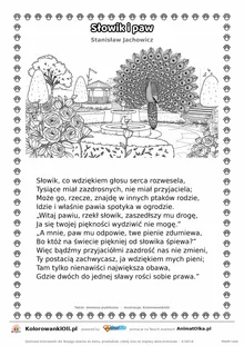 Słowik i paw (Stanisław Jachowicz) — tekst wiersza i ilustracja do kolorowania, karta A4 do druku