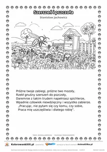 Szerszeń i pszczoła (Stanisław Jachowicz) — tekst wiersza i ilustracja do kolorowania, karta A4 do druku