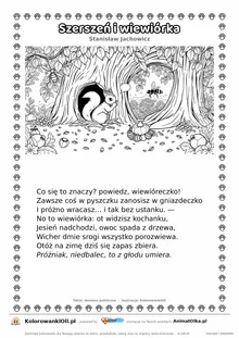 Szerszeń i wiewiórka (Stanisław Jachowicz) — tekst wiersza i ilustracja do kolorowania, karta A4 do druku