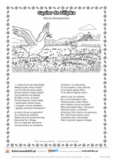 Gąsior do Filipka (Maria Konopnicka) — tekst wiersza i ilustracja do kolorowania, karta A4 do druku