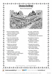 Nasze kwiaty (Maria Konopnicka) — tekst wiersza i ilustracja do kolorowania, karta A4 do druku