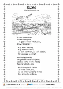 Sokół (Maria Konopnicka) — tekst wiersza i ilustracja do kolorowania, karta A4 do druku