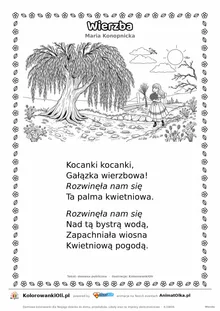 Wierzba (Maria Konopnicka) — tekst wiersza i ilustracja do kolorowania, karta A4 do druku