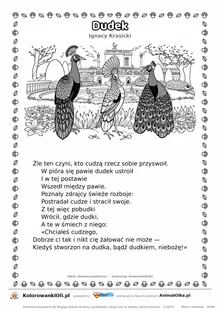 Dudek (Ignacy Krasicki) — tekst wiersza i ilustracja do kolorowania, karta A4 do druku