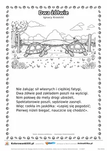 Dwa żółwie (Ignacy Krasicki) — tekst wiersza i ilustracja do kolorowania, karta A4 do druku