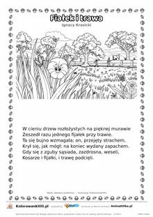 Fiałek i trawa (Ignacy Krasicki) — tekst wiersza i ilustracja do kolorowania, karta A4 do druku