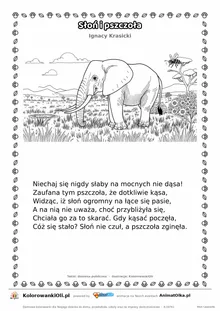 Słoń i pszczoła (Ignacy Krasicki) — tekst wiersza i ilustracja do kolorowania, karta A4 do druku