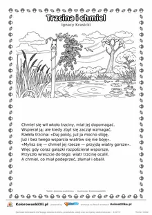 Trzcina i chmiel (Ignacy Krasicki) — tekst wiersza i ilustracja do kolorowania, karta A4 do druku