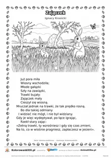 Zajączek (Ignacy Krasicki) — tekst wiersza i ilustracja do kolorowania, karta A4 do druku