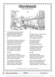 Pierwiosnek (Adam Mickiewicz) — tekst wiersza i ilustracja do kolorowania, karta A4 do druku