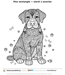 Pies zentangle — sierść z wzorów — kolorowanka antystresowa do wydruku na A4