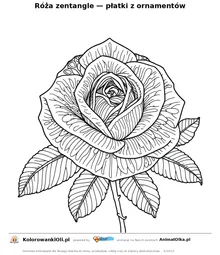 Róża zentangle — płatki z ornamentów — kolorowanka antystresowa do wydruku na A4
