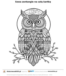 Sowa zentangle na całą kartkę — kolorowanka antystresowa do wydruku na A4