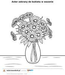 Aster zebrany do bukietu w wazonie — kolorowanka do wydruku dla dzieci