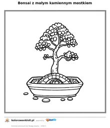 Bonsai z małym kamiennym mostkiem — kolorowanka do wydruku dla dzieci