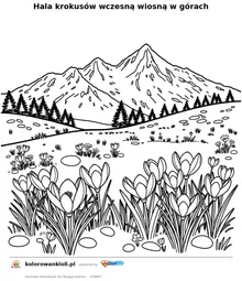 Hala krokusów wczesną wiosną w górach — kolorowanka do wydruku dla dzieci