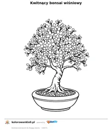 Kwitnący bonsai wiśniowy — kolorowanka do wydruku dla dzieci