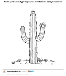 Kwitnący kaktus typu saguaro z kwiatami na szczycie ramion — kolorowanka do wydruku dla dzieci