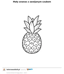 Mały ananas z zawijanym czubem — kolorowanka do wydruku dla dzieci