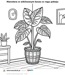Monstera w wiklinowym koszu w rogu pokoju — kolorowanka do wydruku dla dzieci