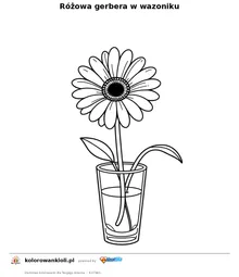 Różowa gerbera w wazoniku — kolorowanka do wydruku dla dzieci